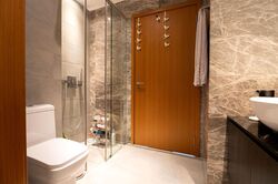Spottiswoode Suites (D2), Apartment #538426211